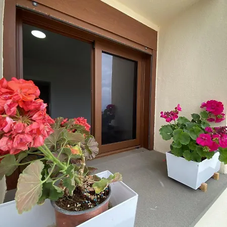 Rural House Arona 1 With Amazing View In Tenerife South Lantställe *