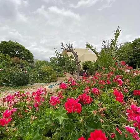 منزل ريفي Rural House Arona 1 With Amazing View In Tenerife South